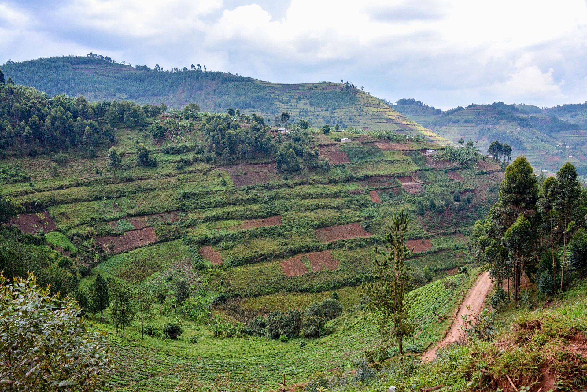 Zdjęcie przedstawiające wysokie zbocze, na którego stokach znajduje się duża ilość małych pól uprawnych. 