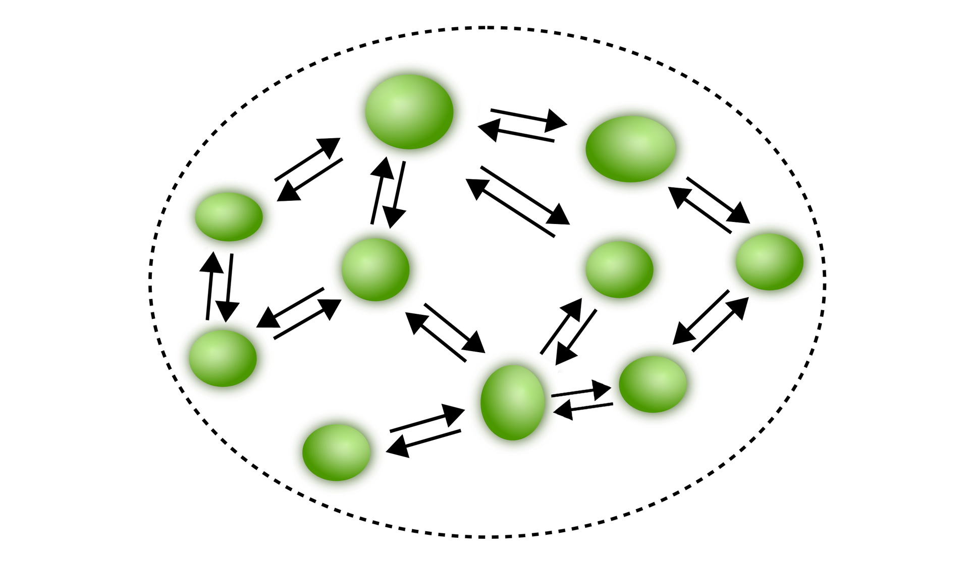 Schemat metapopulacji typu zbioru łatek. Przedstawiono duży okrąg linią przerywaną. Wewnątrz okręgu znajduje się dziesięć zielonych kółek Pomiędzy kółkami znajduje się po jedne strzałce w stronę do i od kółka. Niektóre kółka mają po cztery takie połączenia, inne po dwa, a jedno kółka po jedno takie połączenie. 