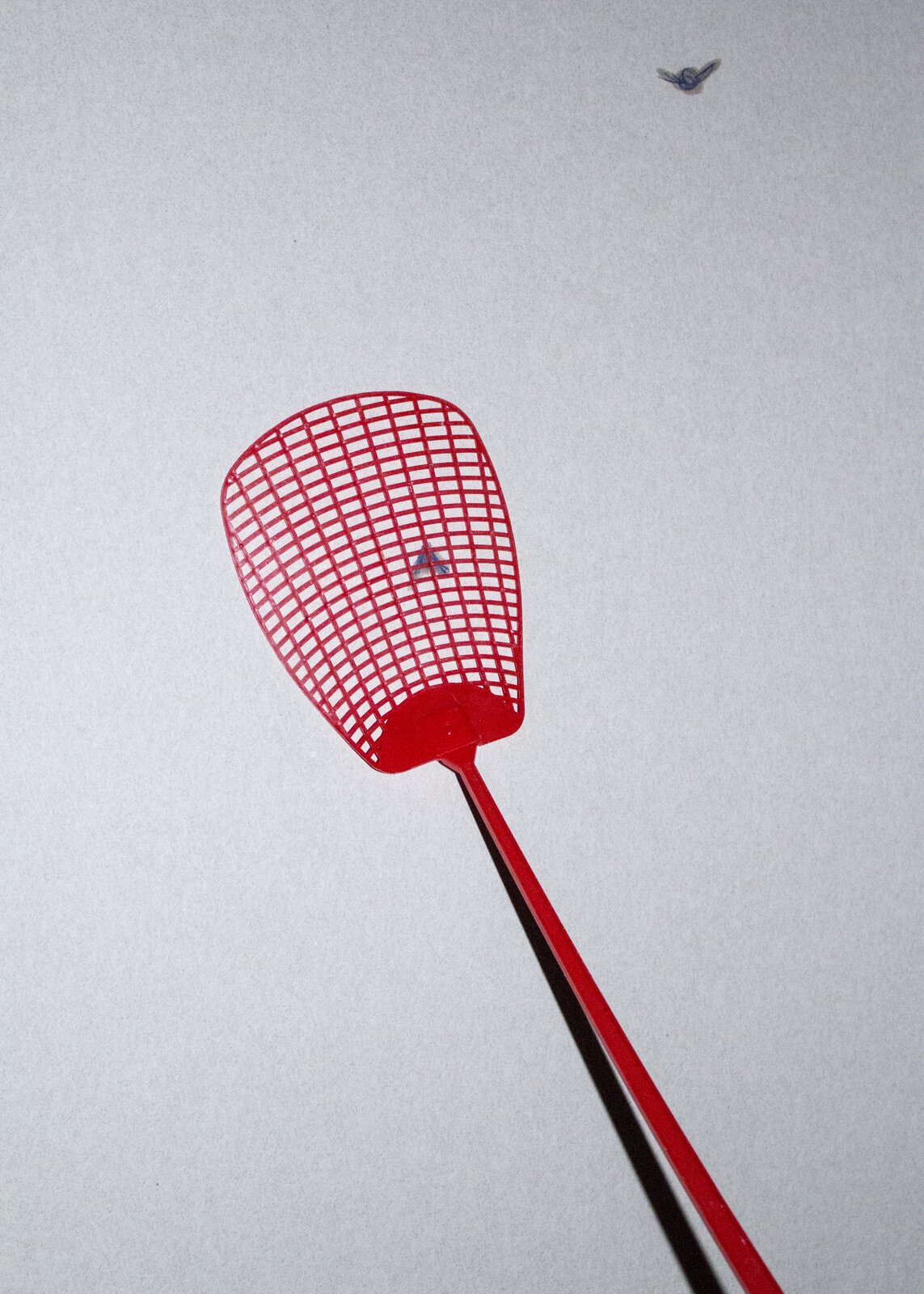 Ilustracja przedstawia fotografię „Łapka na muchy”. W centrum zdjęcia, na tle jasno‑szarej ściany, ukazana jest czerwona, plastikowa łapka, pod którą znajduje się zabita much. W prawym, górnym rogu kadru fotograf uchwycił drugą plamę zabitego owada.