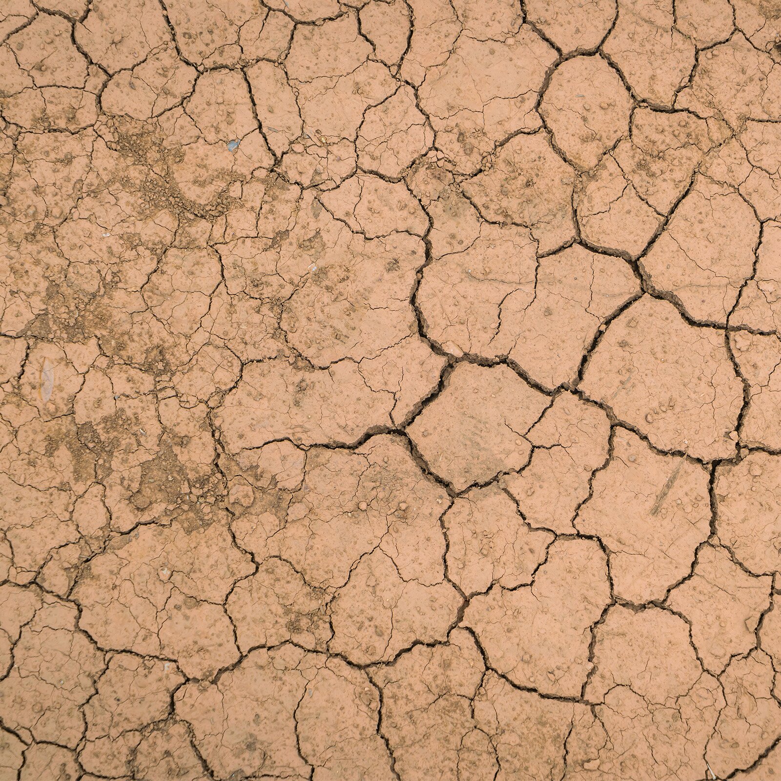 Zdjęcie przedstawia spękaną ziemię w kolorze brązowym.