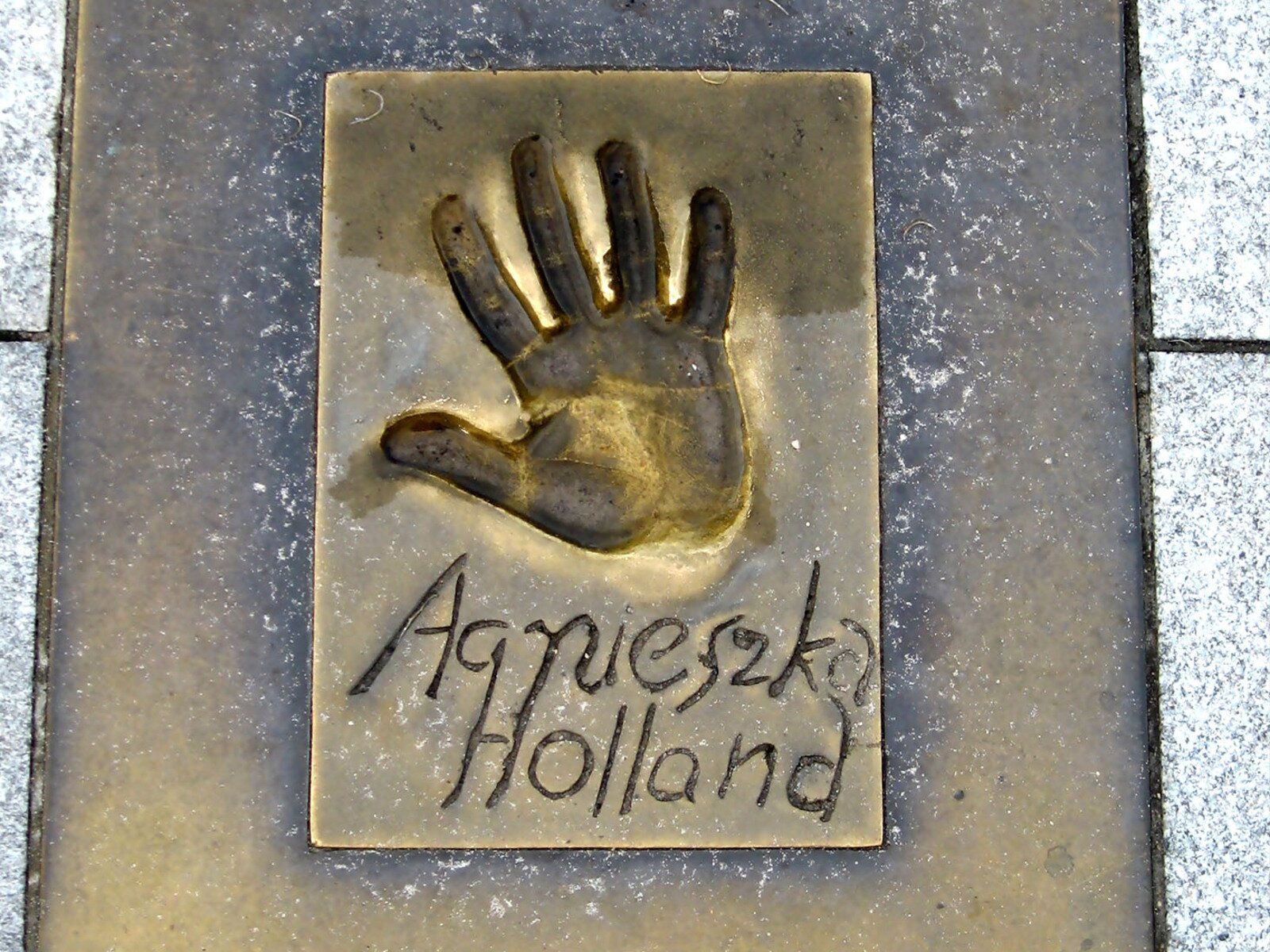 Zdjęcie przedstawia odcisk prawej dłoni utrwalony na prostokątnej płycie z brązu. Poniżej odcisku widoczny jest napis: Agnieszka Holland.