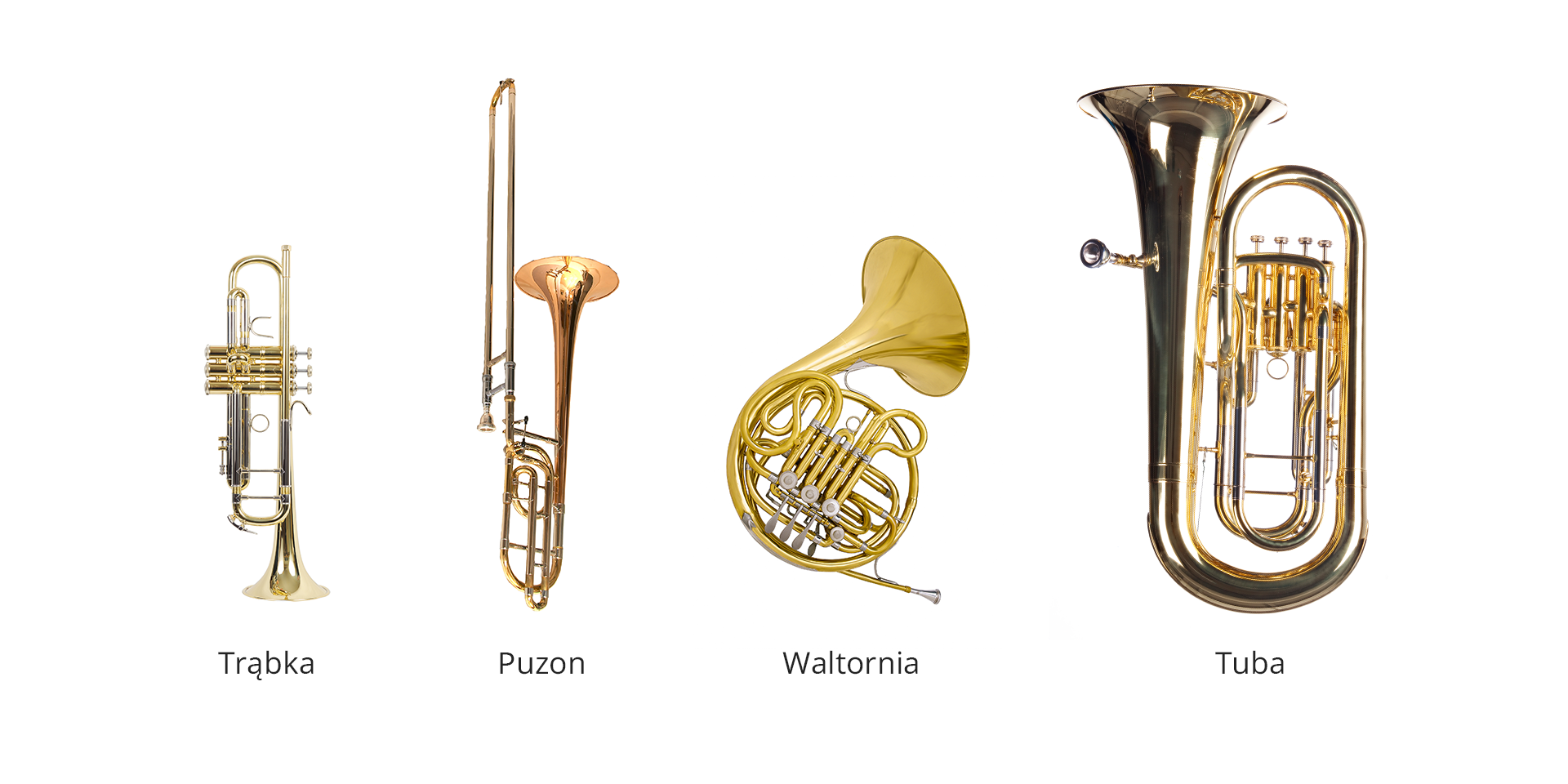 Ilustracja przedstawia instrumenty dęte blaszane. Kolejno od lewej strony są to: Trąbka, Puzon, Waltornia i Tuba.
