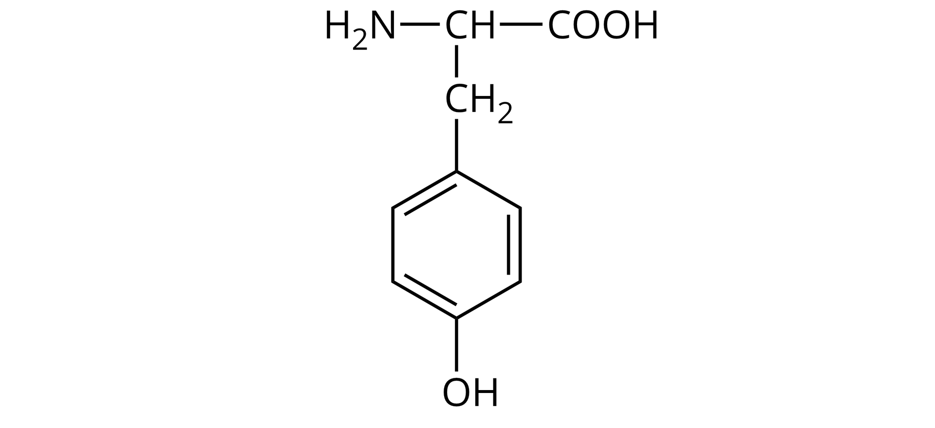 Wzór strukturalny tyrozyny zawiera sześcioczłonowy pierścień, grupę en ha dwa, dwie grupy o ha oraz atom tlenu. 