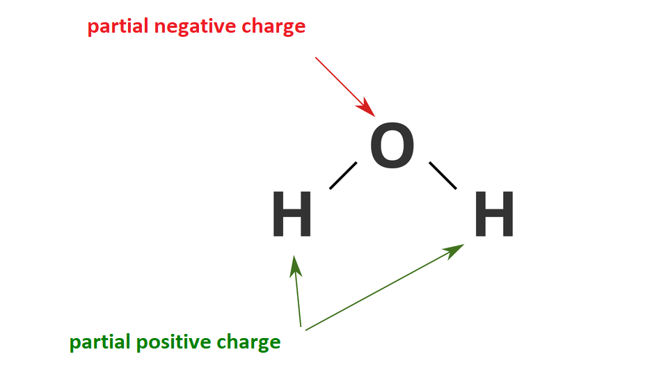 Ilustracja przedstawia wzór strukturalny cząsteczki wody złożonej z dwóch atomów wodoru i atomu tlenu. Na atomie tlenu jest oznaczony partial negative charge (czyli cząstkowy ładunek ujemny), a na atomach wodoru partial positive charge (czyli cząstkowy ładunek dodatni).