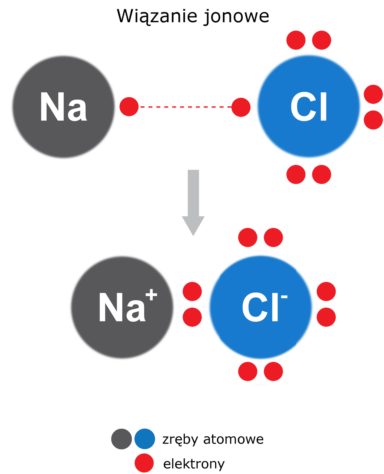 Na ilustracji jest chlorek sodu. Przy atomie sodu, po prawej stronie, znajduje się jedna kulka - elektron. Łączy się linią przerywaną z kulką znajdującą się po lewej stronie atomu chloru. Nad atomem chloru, pod nim oraz po jego prawej stronie po dwie kulki - elektrony. Od tej części obrazka jest strzałka w dół do kolejnego. Kation sodu i anion chloru - pomiędzy nimi są dwie kulki jedna pod drugą - elektrony. Pozostałe elektrony w anionie chloru są usytuowane bez zmian. Kulkę z symbolem sodu zaznaczono kolorem szarym, a chloru niebieskim. To zręby atomowe.