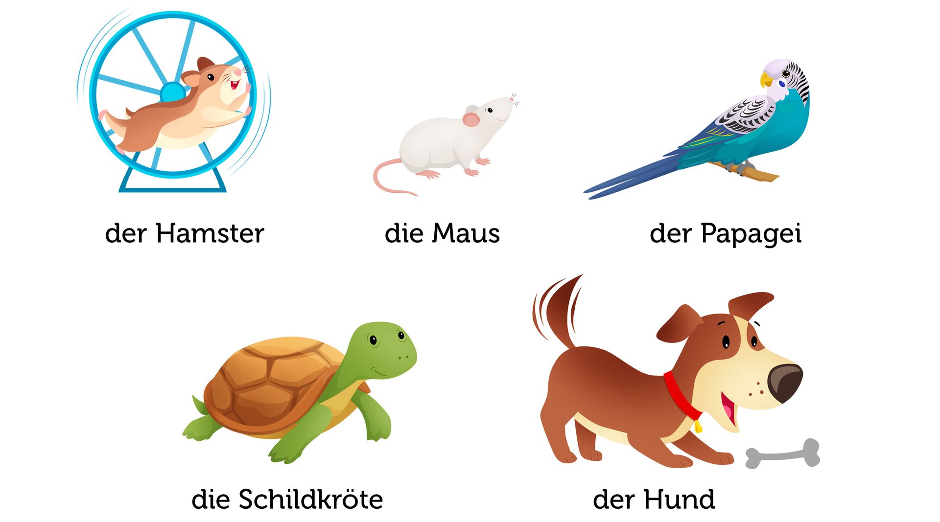 Ilustracja przedstawia rysunki zwierząt pod którymi widoczny jest podpis w języku niemieckim.  Der Hamster, die Maus, der Papagei , die Schildkröte, der Hund.