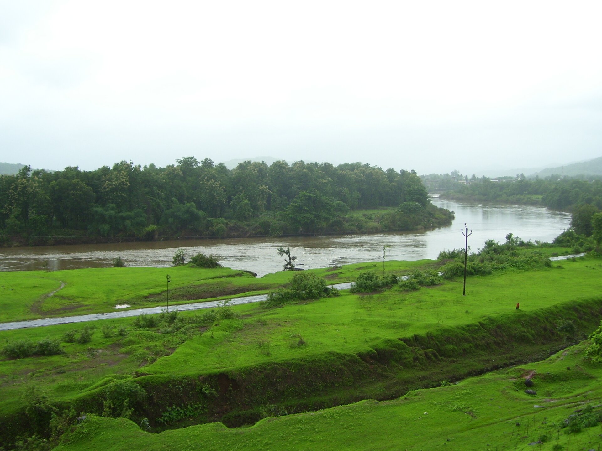 Na zdjęciu szeroka rzeka, jeden brzeg zalesiony, drugi brzeg porośnięty bujną trawą.
