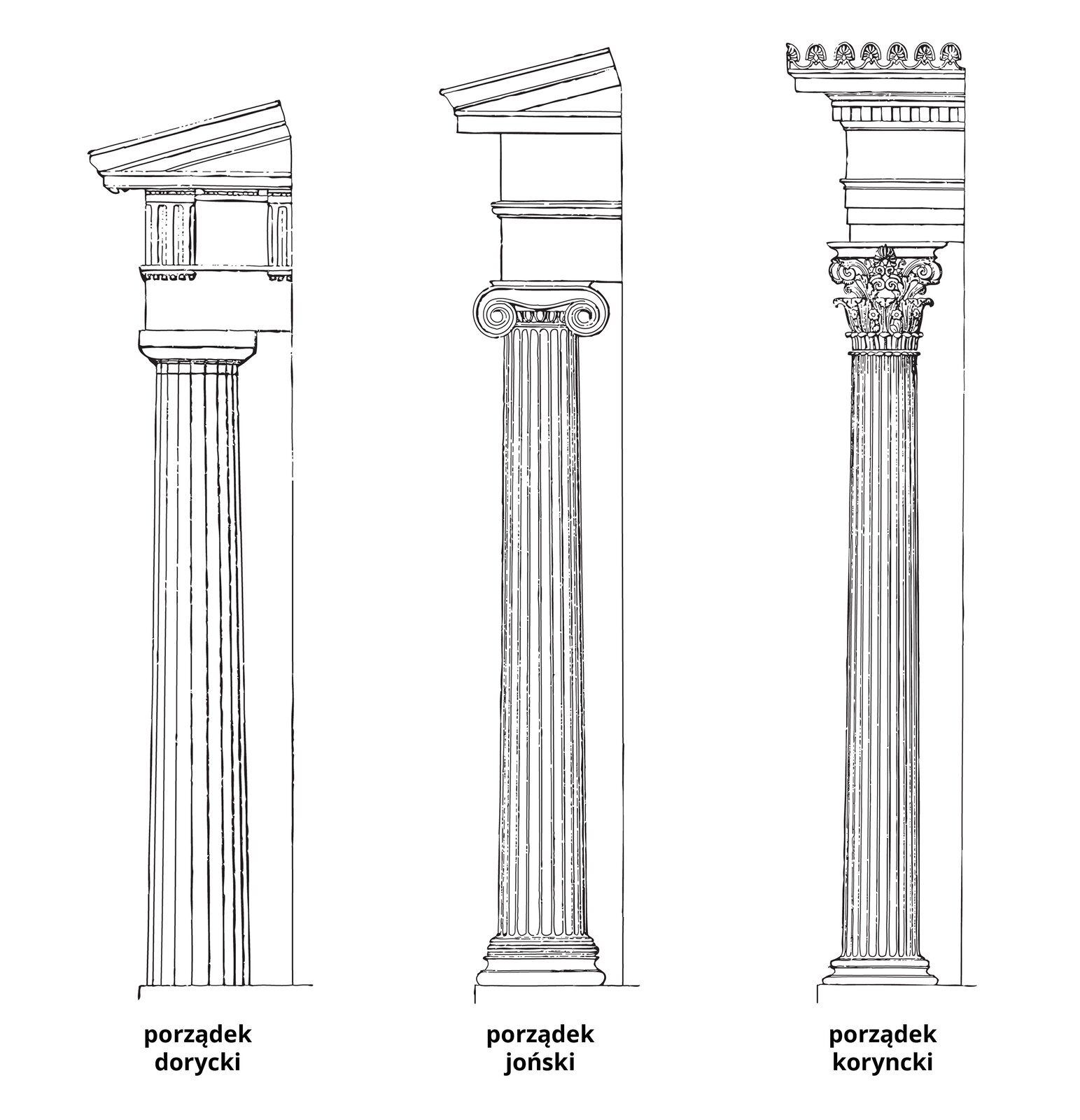 Ilustracja przedstawia porządki architektoniczne Grecji. Na czarno‑białej grafice ukazane są fragmenty elementów architektonicznych w różnych stylach. Po lewej stronie znajduje się kolumna dorycka ze żłobkowanym trzonem bez bazy oraz prostą głowicą. Kolumna podtrzymuje belkowanie, składające się z architrawu i fryzu podzielonego na tryglify i metopy. Wyżej mieści się fragment frontonu. Pośrodku grafiki przedstawiono kolumnę w stylu jońskim z bazą, żłobkowanym trzonem i ślimakową głowicą. Kolumna podtrzymuje belkowanie podzielone na architraw i fryz, nad którym znajduje się fragment frontonu. Po prawej stronie ukazana została kolumna w porządku korynckim z bazą, żłobkowanym trzonem oraz zdobioną liśćmi akantu głowicą, która podtrzymuje belkowanie z trójdzielnym architrawem oraz fryzem zamkniętym u góry dentilem (ząbkowanym ornamentem). Całość belkowania wieńczy kamienna koronka zwana antefiksem. 