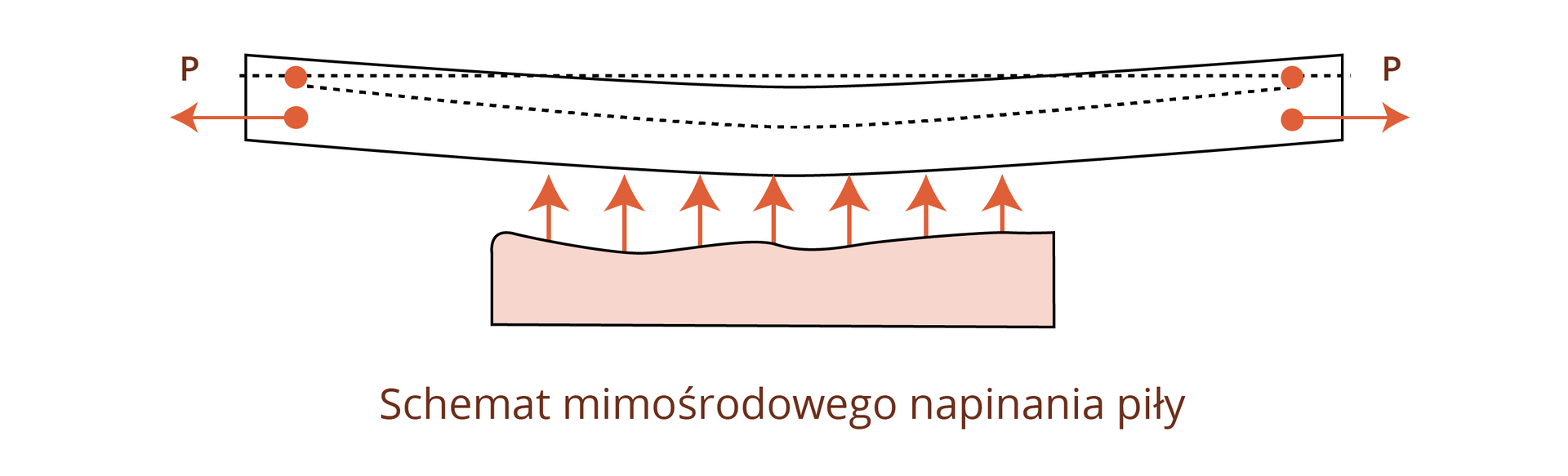 Ilustracja przedstawia schemat mimośrodowego napinania piły. Piła została wygięta w niewielki łuk o końcach skierowanych ku górze. Od dołu zaznaczono strzałkami siły działające na piłę.