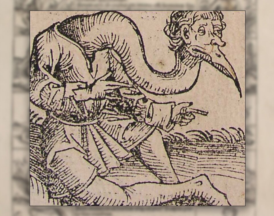 Ilustracja przedstawiająca mężczyznę o długiej szyji i ptasim dziobie.