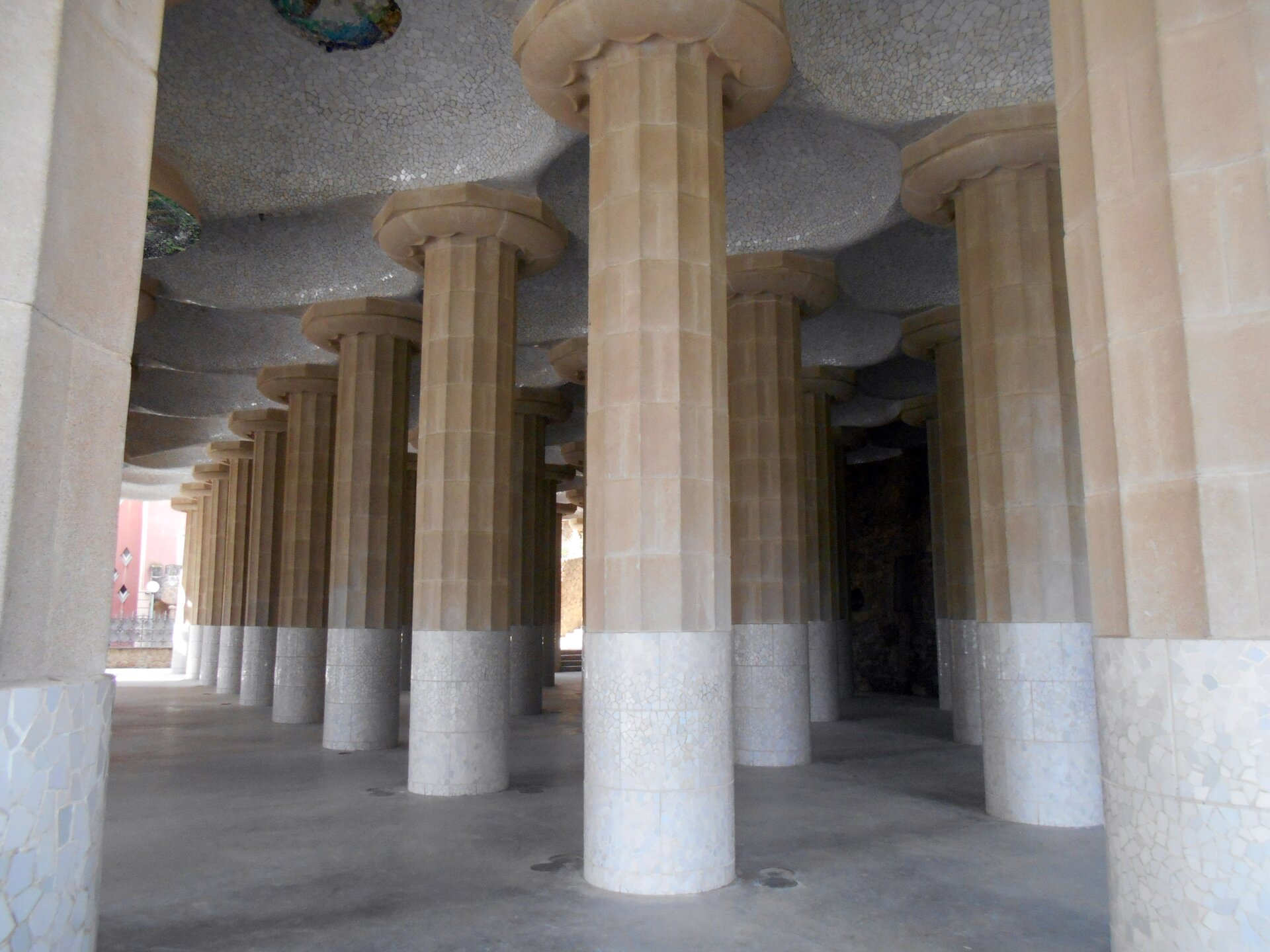 Ilustracja o kształcie poziomego prostokąta przedstawia kolumny w Sali Hypostylowej w Parku Güell, zaprojektowanej przez Gaudiego. Ustawione są w rzędach, nie posiadają bazy, a ich trzony są mocno żłobione. U góry zakończone są szeroką głowicą w kształcie koła. Dolna część kolumn jest w kolorze białym. Podtrzymywany strop wykonany jest z terakoty. 