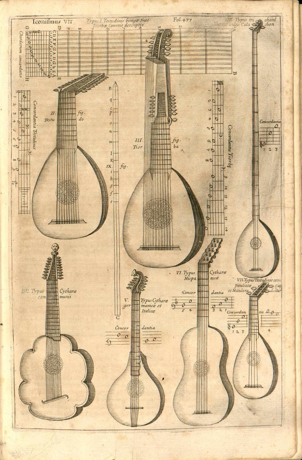 Ilustracja przedstawia rysunek siedmiu instrumentów strunowych, które przypominają współczesną gitarę. Pierwszy, ustawiony w lewym górnym rogu, ma owalne, szerokie pudło rezonansowe. Ma bardzo dużo strun przywiązanych do główki, ostatniej części na górze, która jest wygięta do tyłu. Drugi instrument jest bardzo podobny, ale ma dwie główki - jedną na samej górze, drugą trochę niżej. Po prawej znajduje się instrument z bardzo długim gryfem i trzema strunami. Na dole jest instrument z pudłem rezonansowym o nieregularnym kształcie, wygląda jak kwiat lub chmura. Główka jest zwężana ku górze, a na niej jest element dekoracyjny w kształcie głowy. Następny jest mniejszy, główka jest wygięta w literę s, a na górze także jest element dekoracyjny. Następny instrument najbardziej przypomina współczesną gitarę kształtem pudła rezonansowego z wklęśnięciem w środkowej części. Ostatni instrument wygląda jak te na górze, owalne, z główką wygiętą do tyłu. Ilustrację przedstawiono na pożółkłym papierze, jest tam też tekst w języku łacińskim.