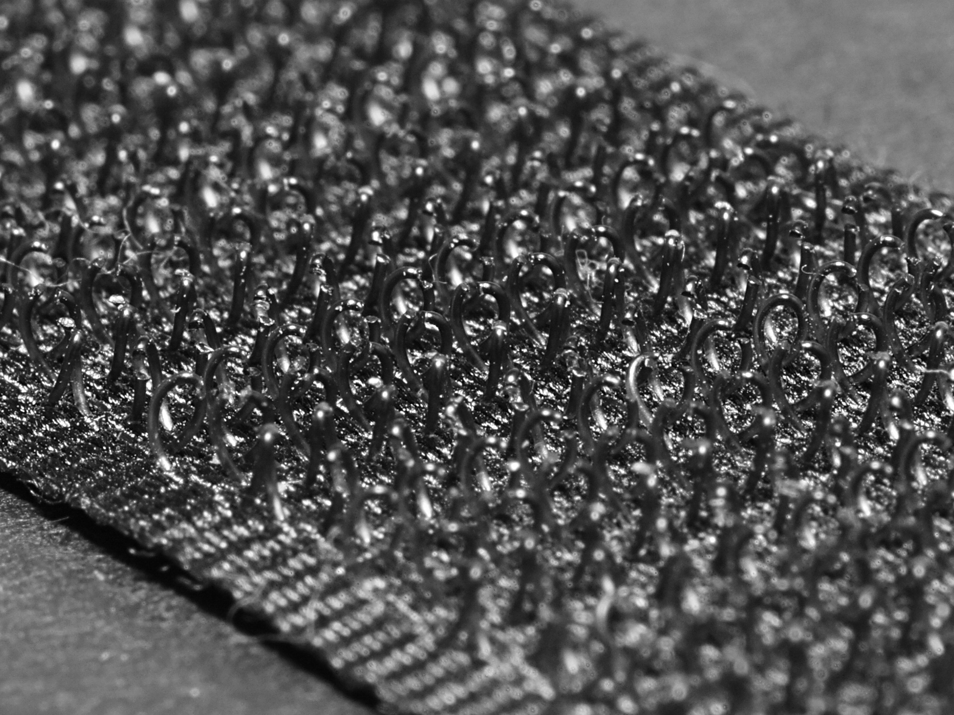 Fotografia przedstawia część czarnego rzepa widzianą z bliska. Widoczne są małe pętelki. Tło jest szare.