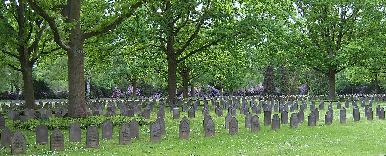 Fotografia przedstawia trawnik i rosnące na nim pojedyncze drzewa. Na trawniku widać kilkadziesiąt kamiennych nagrobków, które są postawione obok siebie.