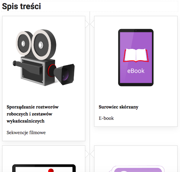 Grafika przedstawia widok na fragment spisu treści. Widoczne są: ikona sekwencji filmowych "Sporządzanie roztworów roboczych i zestawów wykańczalniczych" oraz e‑booka "Surowiec skórzany".