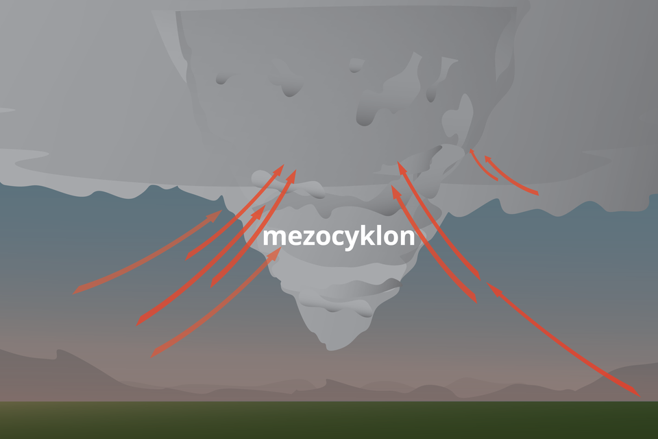 Grafika przedstawia mezocyklon. Ma wąską podstawę i rozszerza się ku górze obejmując całe niebo. Strzałki napływają do niego ku górze.