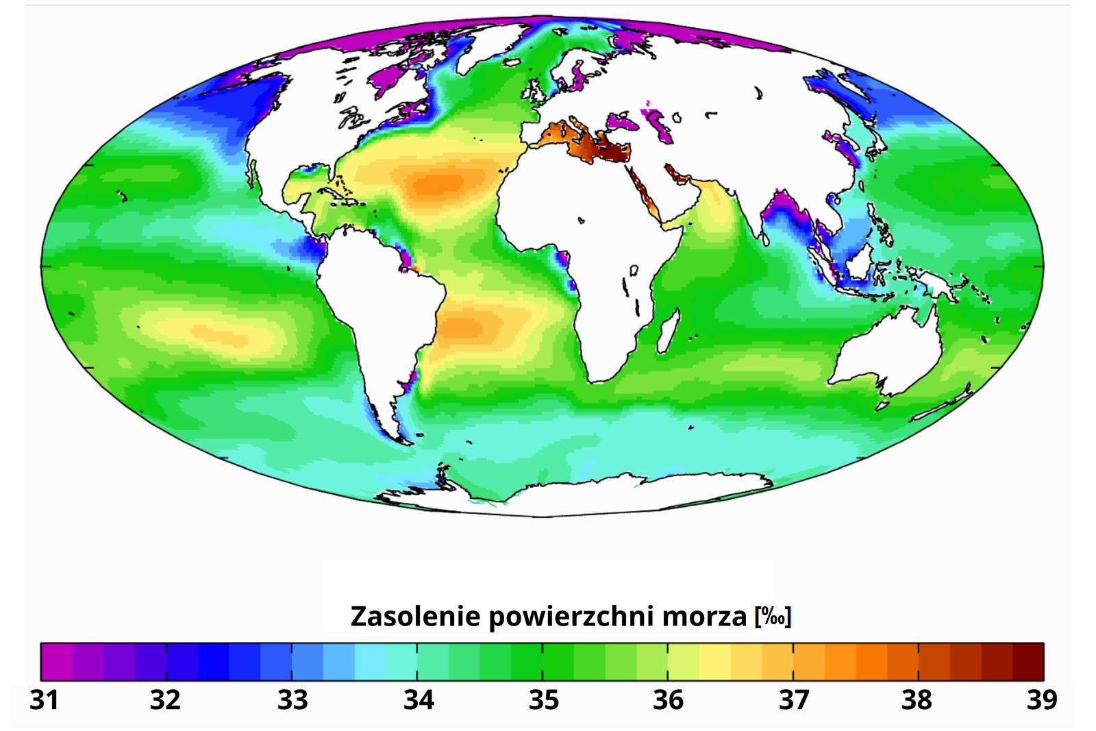 Mapa świata ilustruje zasolenie powierzchni wód. Lądy na mapie zaznaczone są kolorem białym, morza i oceany są zaznaczone kolorami, które oznaczone są na legendzie poniżej. Odcienie fioletu zastosowane są, gdy zasolenie wynosi 31-32 promile, odcienie niebieskiego 32-33 promile, odcienie błękitu: 33-34 promile, odcienie jasnozielonego: 34-35 promili, odcienie zielonego: 35-36 promili, odcienie żółtego: 36-37 promili, odcienie pomarańczowego: 37-38 promili i odcienie koloru czerwonego: 38-39 promili. W okolicach bieguna północnego przeważa kolor fioletowy, poniżej kolor niebieski, w okolicach Antarktydy przeważający jest kolor błękitny, a na oceanach kolor zielony. Kolor żółty i pomarańczowy znajduje się w centrum Oceanu Spokojnego oraz pomiędzy zachodnią Afryką a Ameryką Północną oraz u wschodnich wybrzeży Ameryki Południowej. Kolor czerwony widoczny jest w akwenach wodnych pomiędzy Eurazją a Afryką. 