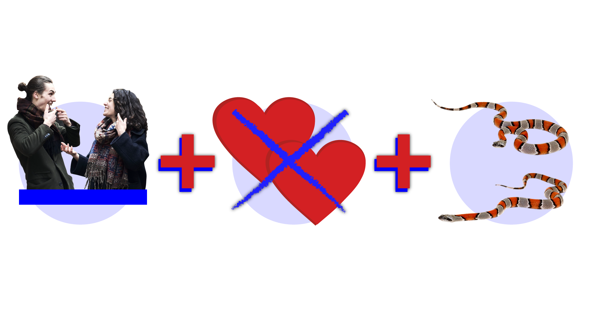 Ilustracja przedstawia rebus złożony z trzech ilustracji, pomiędzy którymi znajduje się znak "+". Pierwsza ilustracja przedstawia dwie osoby, mężczyznę i kobietę, odwróconych w swoją stronę. Druga ilustracja przedstawia symbol dwóch przekreślonych czerwonych serc, a na ostatniej ilustracji widać dwa węże.