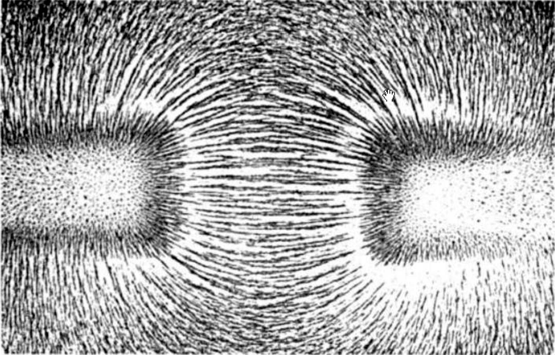 Na fotografii znajdują się dwa magnesy sztabkowe ułożone wzdłuż jednej linii poziomej. Widoczne są tylko fragmenty magnesów sąsiadujące ze sobą. Między biegunami magnesów znajdują się opiłki żelaza, które ułożyły się wzdłuż linii pola magnetycznego. Między biegunami blisko osi symetrii linie są poziome. Linie leżące niżej są wygięte łukowato w dół, a linie leżące wyżej są wygięte łukowato w górę. 