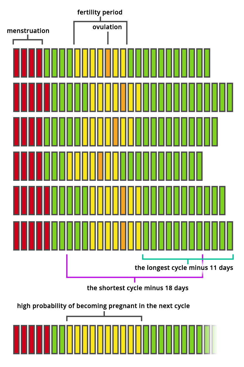 Znając długość poszczególnych cykli menstruacyjnych w ciągu ostatnich sześciu miesięcy, można obliczyć, w których dniach następnego cyklu prawdopodobieństwo zajścia w ciążę będzie najwyższe. Podpisano: menstruation; fertility period; ovulation; the longest cycle minus 11 days; the shortest cycle minus 18 days; high probabity of becoming pregnat in the next cycle. Knowing the length of individual menstrual cycles during the last six months, it is possible to calculate in which days of the next cycle the probability of becoming pregnant will be the highest.