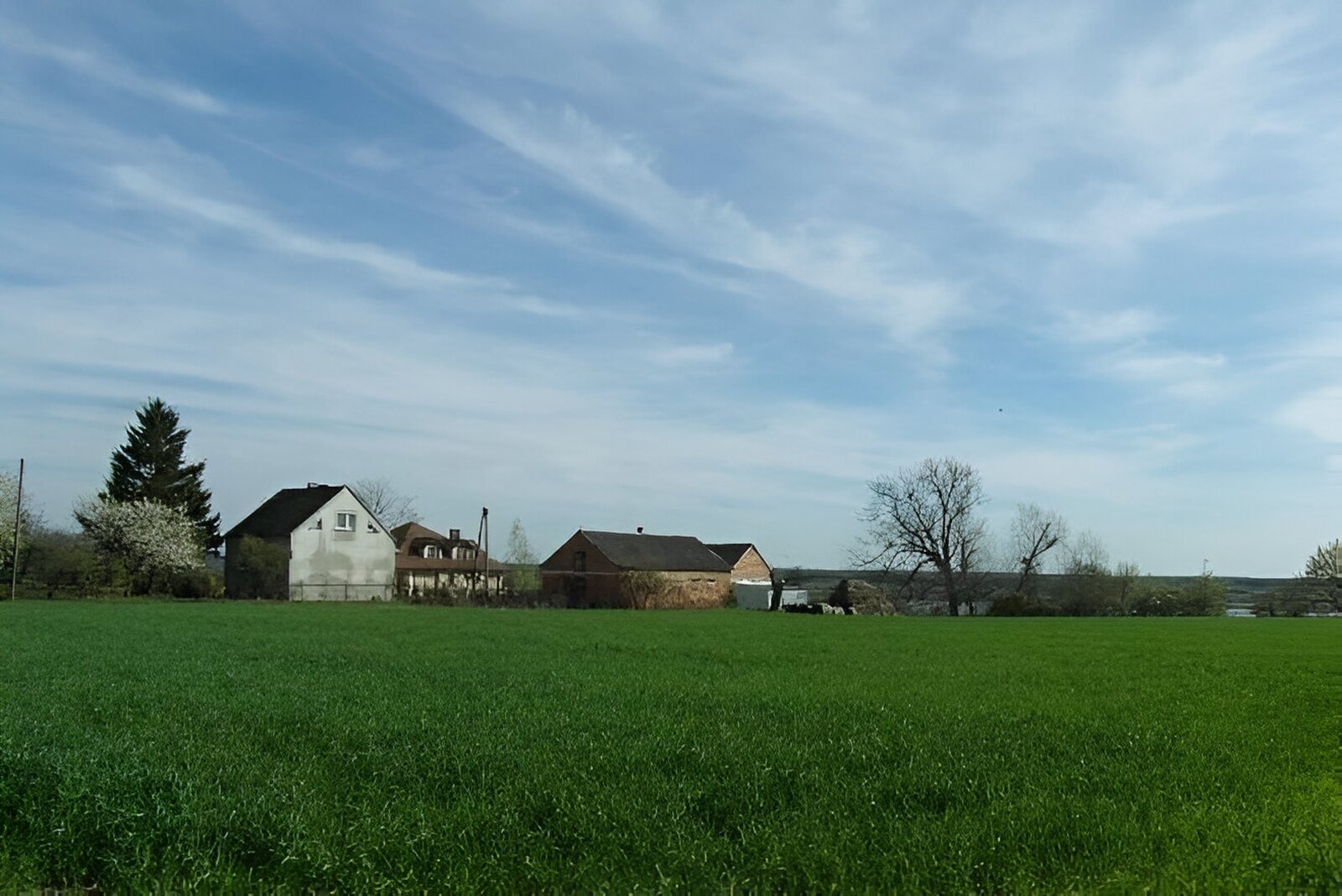 Fotografia przedstawia zielone pole. W oddali budynki mieszkalne, po lewej drzewa po prawo drzewa.