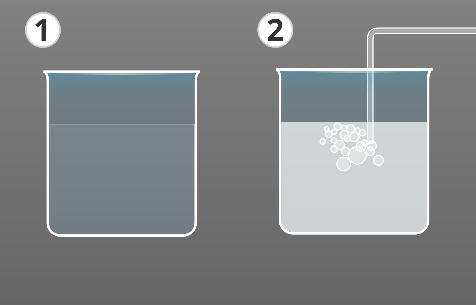Ilustracja prezentuje dwie zlewki. W jednej trzy czwarte objętości zajmuje szary płyn - woda wapienna. W drugiej płyn jest biały. Włożony jest do niej koniec rurki. W białym płynie bąbelki gazu - tlenku węgla cztery.