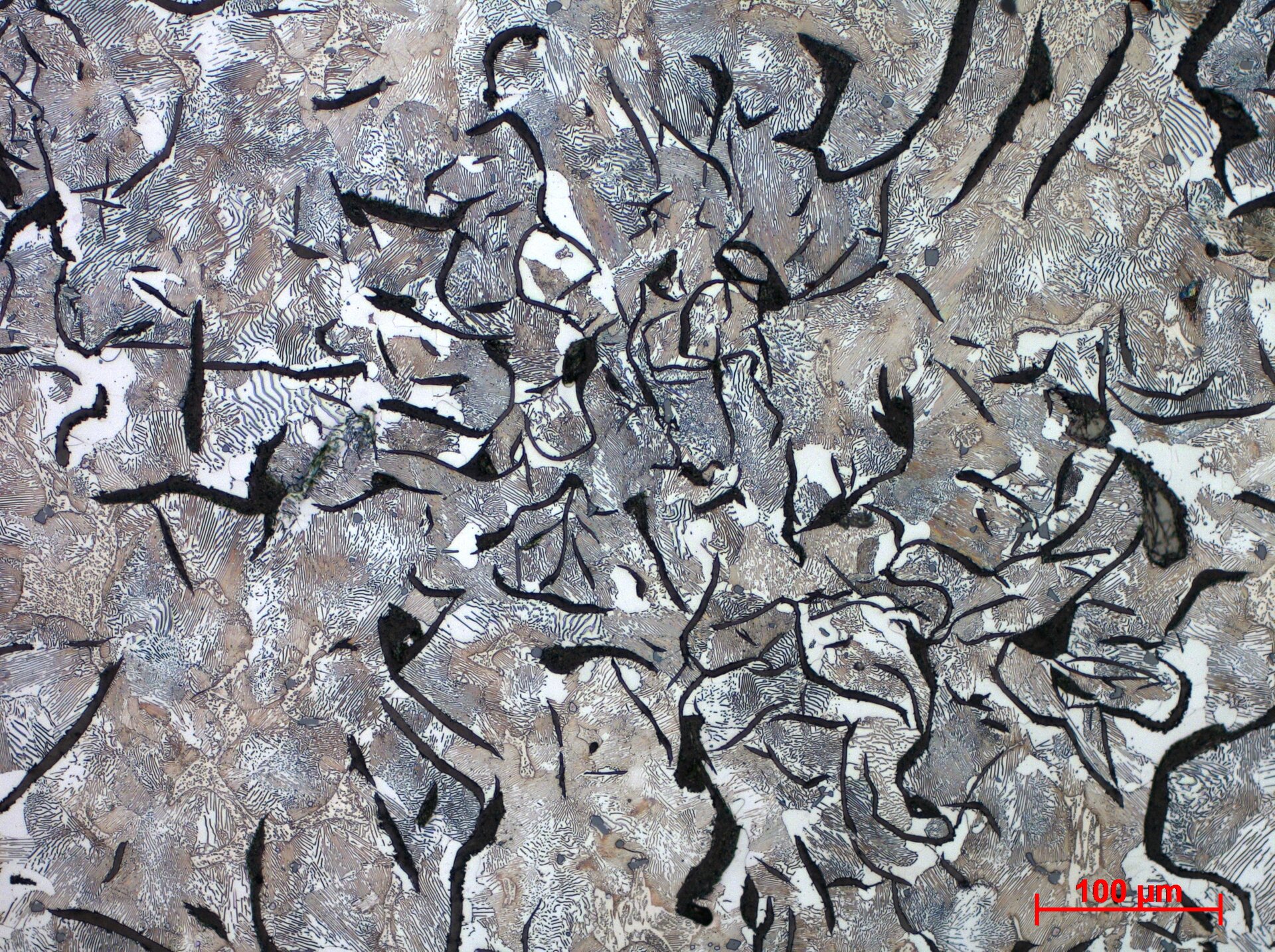 Żeliwo szare zwykłe
Osnowa perlityczna z grafitem płatkowym - powiększenie 20x