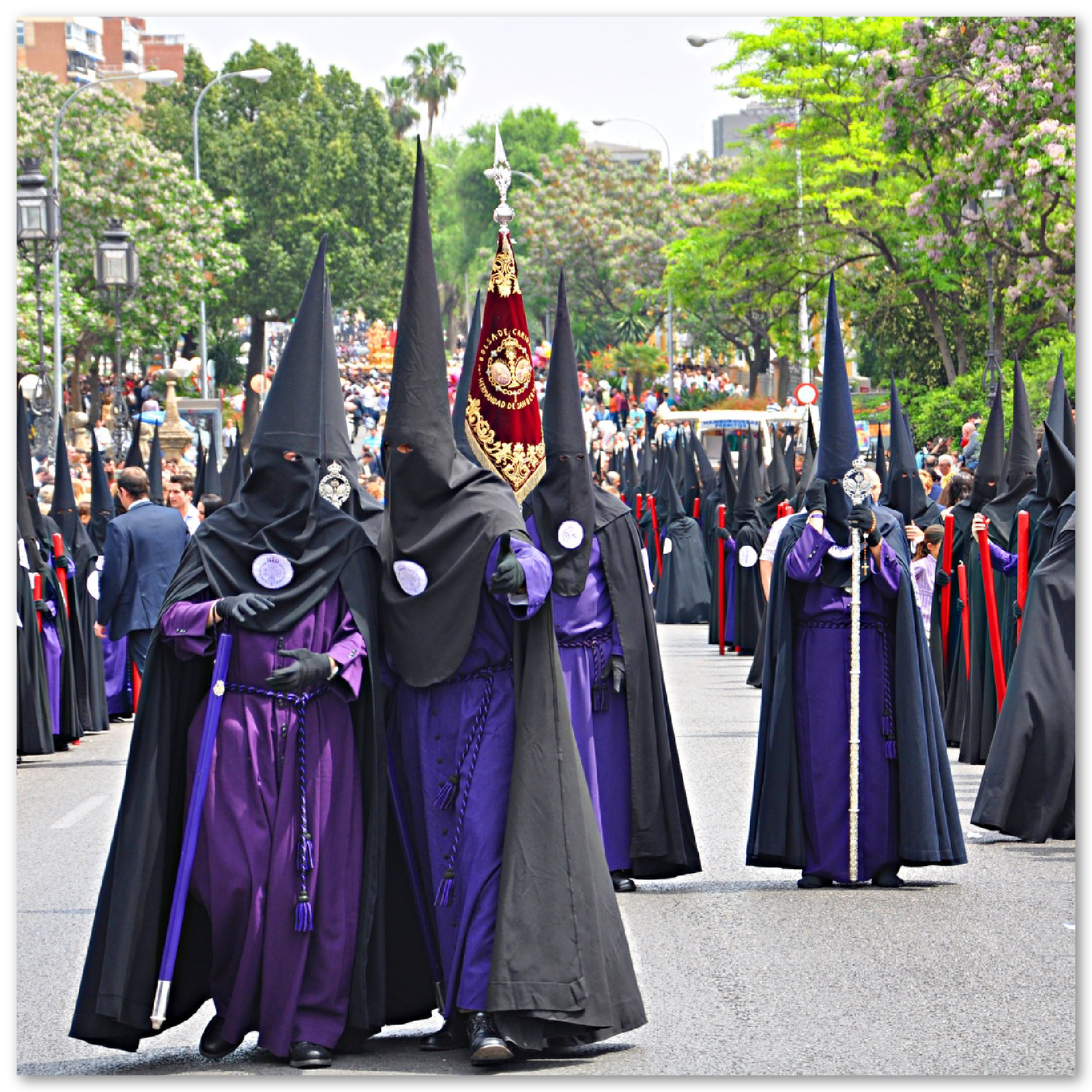 Na zdjęciu widoczny jest pochód w mieście. Biorą w nim udział osoby we fioletowych i granatowych sukniach, na których mają założone czarne peleryny i czarne, wysokie, spiczaste kaptury na głowie z otworami na oczy. Osoby te mają również czarne rękawiczki.