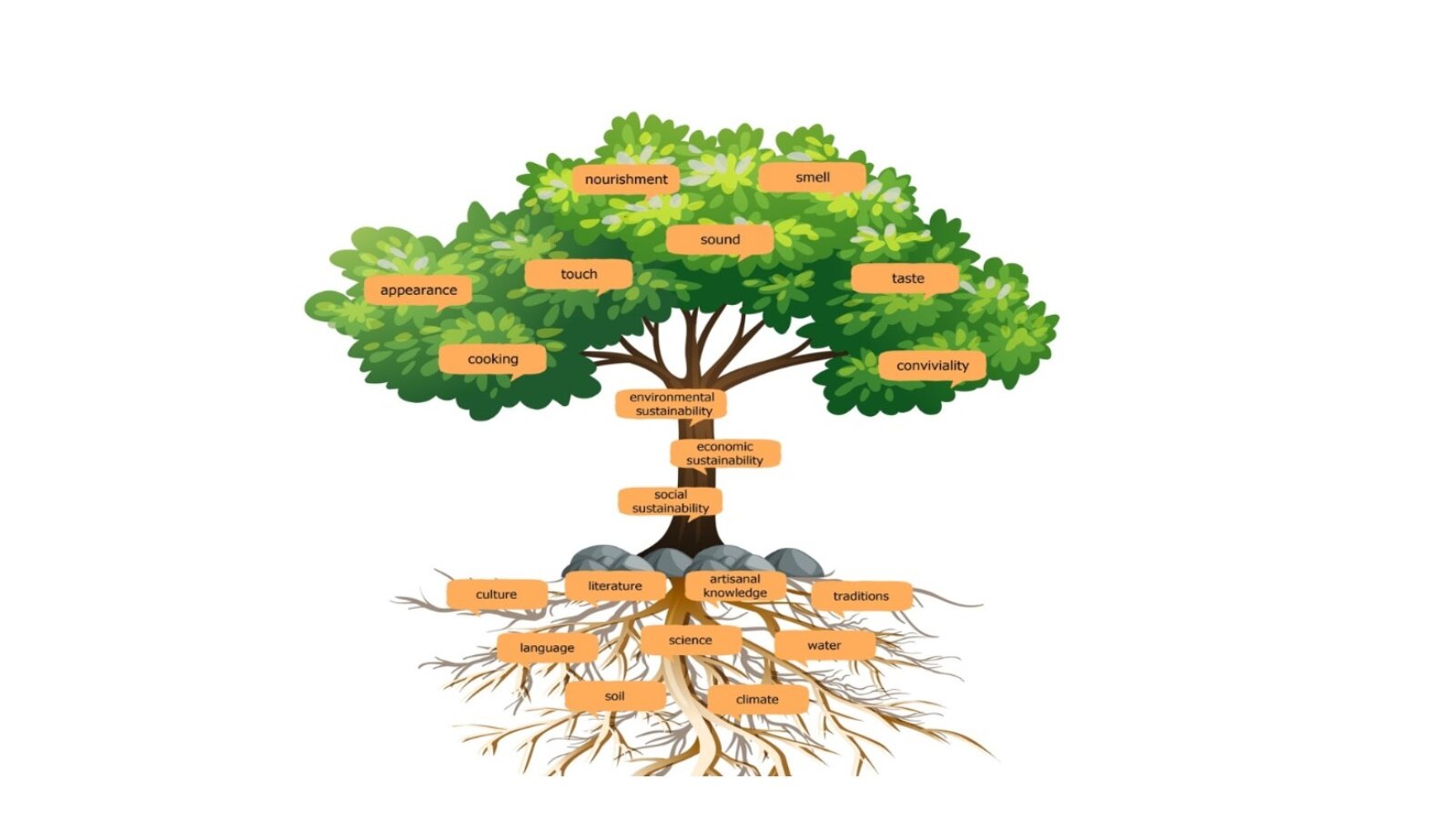 Grafika przedstawia zielone drzewo. Widoczne są korzenie drzewa, pień, konary i korona drzewa. Na grafice umieszczono pomarańczowe dymki z napisami w języku angielskim. Na korzeniu drzewa widoczne są napisy: culture, literature, artisanal knowledge, traditions, language, science, water, soil, climate. Na pniu drzewa widoczne są napisy: social sustainability, economic sustainability, environmental sustainability. Na koronie drzewa widoczne są napisy: cooking, appearance, touch, sound, nourishment, smell. taste, conviviality. 