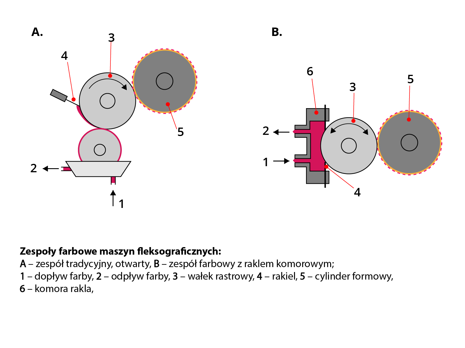 Grafika przedstawia zespoły farbowe maszyn fleksograficznych. Po lewej stronie widoczny jest zespół tradycyjny otwarty. Widoczne są trzy koła ułożone jeden na drugim, lekko łukowato, z czego koło na samym końcu ma żółtą obwódkę z czerwoną linią przerywaną. Najniższe koło jest częściowo zasłonięte przez trapezowaty element z dwiema wypustkami na dole i po lewej stronie. Dolna wypustka do dopływ farby, zaś boczna - odpływ farby. Środkowe koło to wałek rastrowy, z szarą wypustką na godz. 9 – raklem. Górne koło to cylinder formowy. Po prawej stronie widoczny jest zespół farbowy z raklem komorowym. Widoczny jest prostokąt w pionie z dwoma wypustkami: górną - odpływem farby i dolną - dopływem farby. Na samej górze prostokąta – komora rakla, na dole, w miejscu styku z wałkiem rastrowym – rakiel. Dalej widoczne jest koło – wałek rastrowy, a za nim w linii prostej, koło z żółtą obwódką z czerwoną linią przerywaną - cylinder formowy. Poniżej widoczna jest legenda.