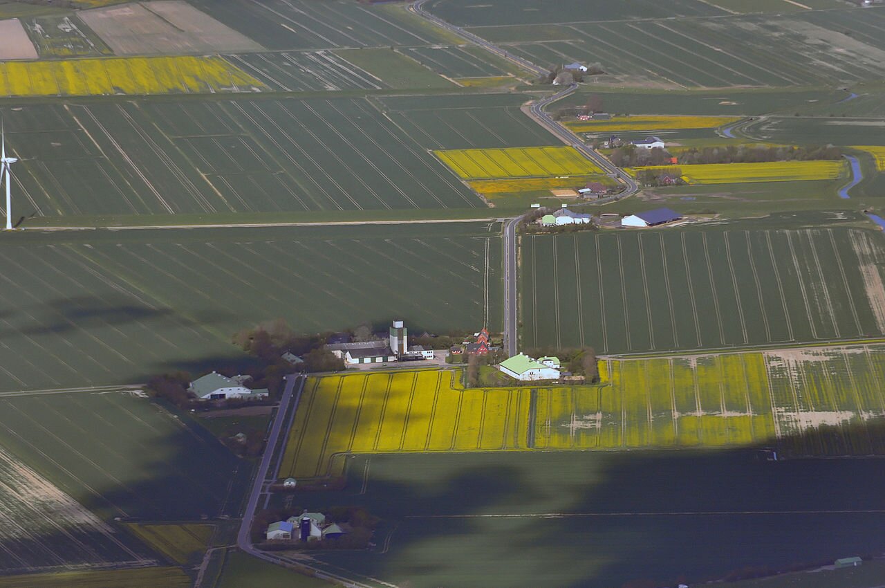 Ilustracja przedstawia wieś we Fryzji Północnej. Domy znajdują się przy biegnącej nieregularnie drodze, pola uprawne mają kształt regularnych pasów. 