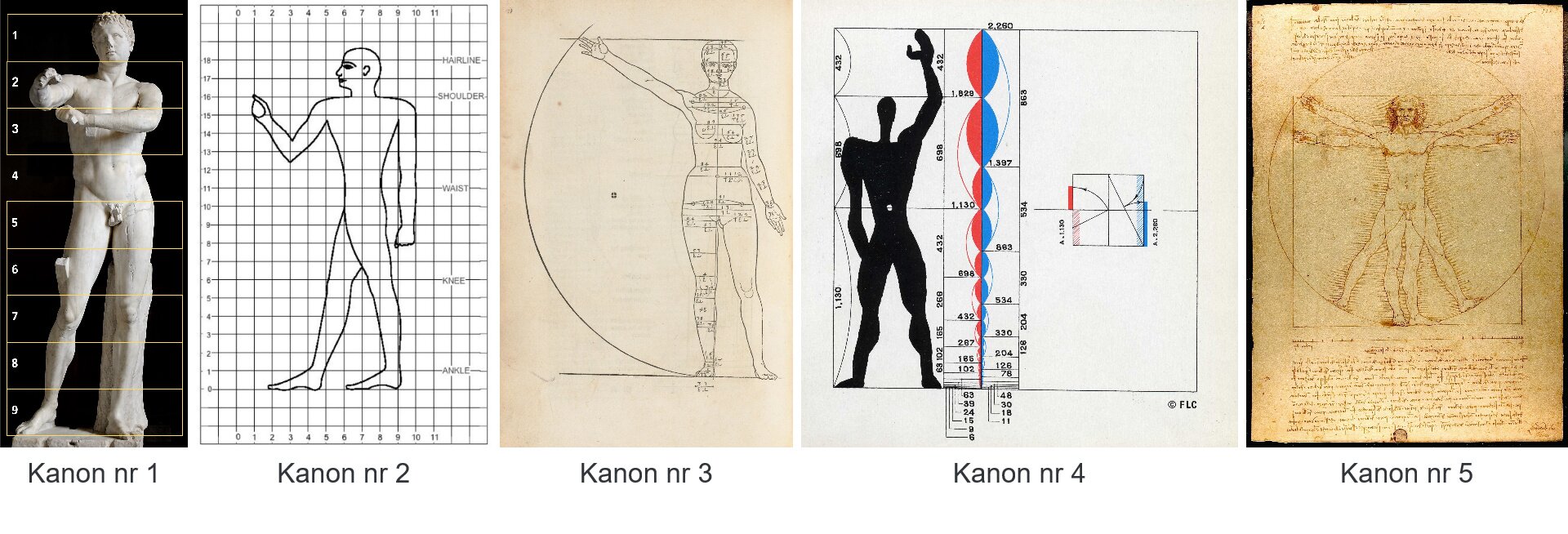 Ilustracja przedstawia pięć umieszczonych w rzędzie kanonów. 1. Na czarnym te umieszczono jasną rzeźbę, na którą naniesiono prostokąt podzielony na dziewięć części. Składa się on z żółtych linii oraz białych cyfr. Od dołu są to: cyfra dziewięć, której prostokąt zawiera stopy oraz kostki postaci; cyfra osiem, której prostokąt zawiera łydki postaci; cyfra siedem, której prostokąt zawiera kolana postaci; cyfra cześć, której prostokąt zawiera dolną część ud postaci, cyfra pięć, której prostokąt zawiera górną część ud oraz pas postaci, cyfra cztery, której prostokąt zawiera biodra oraz dolną część brzucha postaci; cyfra trzy, której prostokąt zawiera górną część brzucha oraz dolną część klatki piersiowej postaci; cyfra dwa, której prostokąt zawiera górną część klatki piersiowej, barki oraz szyję postaci; cyfra jeden, której prostokąt zawiera głowę postaci. Rzeźba przedstawia młodego, umięśnionego nagiego mężczyznę stojącego w rozkroku z uniesionymi rękami. Jej powierzchnia jest popękana, brakuje fragmentu prawej dłoni oraz nosa.  2. Schemat składa się z białego tła, na którym umieszczono pionowe, długie linie oraz poziome, nieco krótsze, tworzące razem kratę. Linie pionowe ponumerowane są na dole oraz u góry – od zera do jedenaście, poziome natomiast ponumerowano z lewej strony schematu – od zera na dole do osiemnaście na górze. Niektóre z poziomych linii są opisane z prawej strony: jedynka – ankle, szóstka – knee, jedenastka – waist, piętnastka – shoulder, osiemnastka – hairline. Sylwetka postaci ukazana jest bokiem, z uniesioną, zgiętą w łokciu prawą ręką.  3. Ilustracja przedstawia rysunek na beżowym tle. Z lewej strony obecny jest gruby łuk, przecięty u góry horyzontalną linią. Na dole łuk łączy się z drugą horyzontalną linią. W środku, z prawej strony, obecny jest rysunek nagiej kobiety. Jej prawa dłoń jest uniesiona, dotykając miejsca, w którym kreska przecina łuk. Jej stopy spoczywają na dolnej kresce. Sylwetka postaci podzielona jest poziomymi liniami, przechodzącymi przez jej szerokość, podpisanymi cyframi oraz symbolami, opisującymi proporcje i miejsca rysunku poszczególnych części ciała.  4. Ilustracja przedstawia system proporcji. Na białym tle obecny jest kwadrat, wewnątrz którego umieszczono dzielące go linie, kształty oraz sylwetkę postaci. Sylwetka to czarny kontur oraz wypełnienie, przedstawiające postać o masywnych nogach, szczupłej talii, muskularnych ramionach oraz małej głowie. Lewa ręka postaci jest uniesiona w górę, a jej dłoń jest nieproporcjonalnie duża. Sylwetkę dzielą poziome linie, a z lewej strony, przy krawędzi kwadratu, umieszczono łuki. Z obu stron umieszczono liczby. Po lewej stronie od środka kwadratu obecne są kształty składające się z czerwonych wypełnionych łuków po lewej stronie oraz niebieskich po prawej. Razem tworzą spłaszczone, dwukolorowe okręgi, opisane liczbami oraz podzielone przez krótkie, poziome linie. Z prawej strony umieszczono podzielony łukami, strzałkami oraz liniami kwadrat. Pod spodem znajduje się symbol litery c umieszczonej w małym okręgu oraz napis „FLC”.  5. Umieszczony w czarnej ramce rysunek przedstawiający ciało mężczyzny. Tło stanowi beżowo‑brązowa powierzchnia o nieregularnej strukturze, na której obecne są przecinające się figury - okrąg i prostopadłościan. Wewnątrz, przodem przedstawiono mężczyznę o szczupłym, muskularnym ciele, średniej długości kręconych włosach oraz podkrążonych oczach, na którego twarzy występują głębokie zmarszczki. Ręce mężczyzny ukazane są na rysunku w dwóch pozycjach – wyciągnięte prostopadle do ciała, na równi z barkami, oraz uniesione nieco wyżej, skierowane do góry w taki sposób, że końcówki dłoni przewyższają głowę mężczyzny. Podobnie, w dwóch pozycjach ukazano jego nogi – blisko siebie oraz w rozkroku, ze stopami ułożonymi na łuku okręgu. Pod rysunkiem umieszczono na karcie poziomą linię z zaznaczonymi w nieregularnych odstępach krótkimi, pionowymi kreskami. U góry oraz na dole karty obecne są linijki drobnego tekstu. 