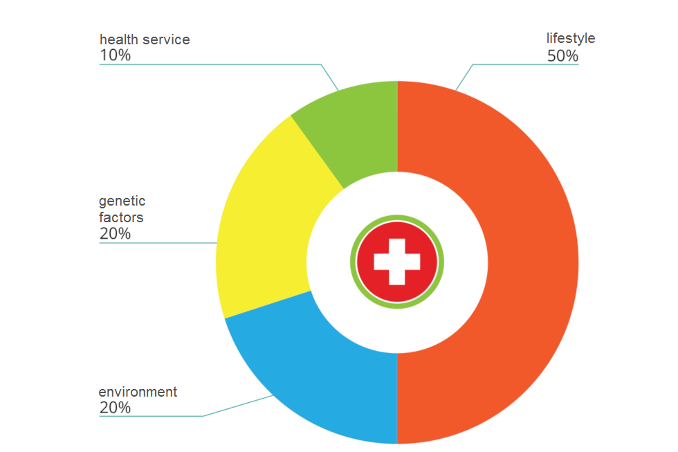 Ilustracja przedstawia diagram pierścieniowy. Kolorami zaznaczono czynniki warunkujące zdrowie i ich wpływ na jakość życia wyrażony w procentach. Wewnątrz diagramu symbol krzyża medycznego na czerwonym tle. Kolor czerwony oznacza styl życia (50 procent). Od dołu w lewą stronę kolejno: niebieski wpływ środowiska (20 procent), żółty czynniki genetyczne (20 procent), zielony służbę zdrowia (10 procent). Podpisano: lifestyle 50%; environment 20%;  genetic factors 20%; health service 10%