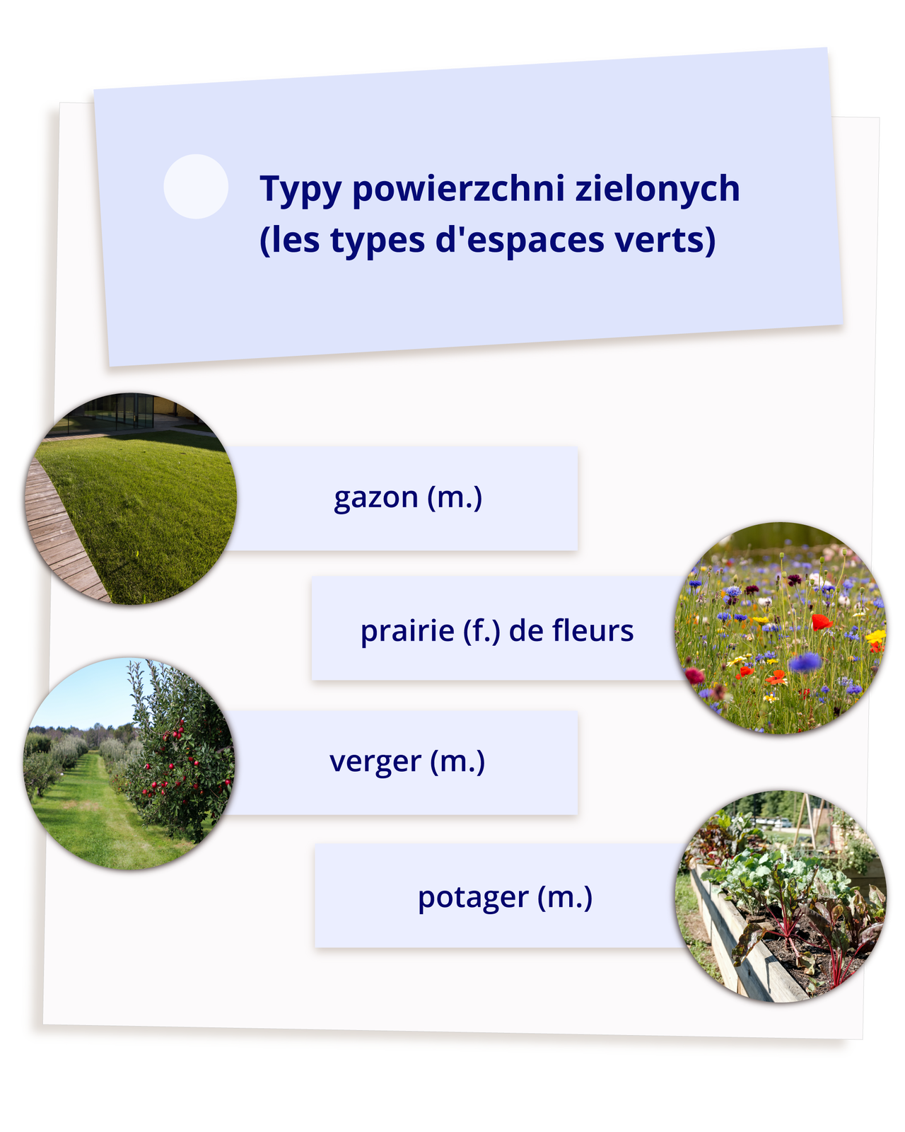 Ilustracja zatytułowana jest Typy powierzchni zielonych (les types d` espaces verts) i zawiera cztery zdjęcia z podpisami. Kolejno: trawnik - gazon (m.); łąka kwietna - prairie (f.) de fleurs; sad owocowy - verger (m.); ogródek warzywny - potager (m.). 
