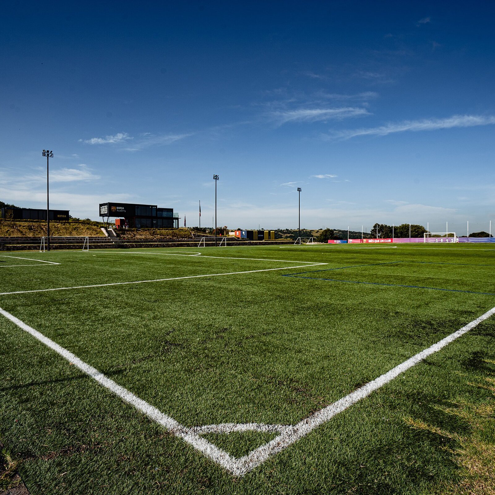 Zdjęcie przedstawia murawę boiska do piłki nożnej.