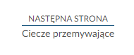 Przykładowy widok przycisku przenoszącego do następnej strony