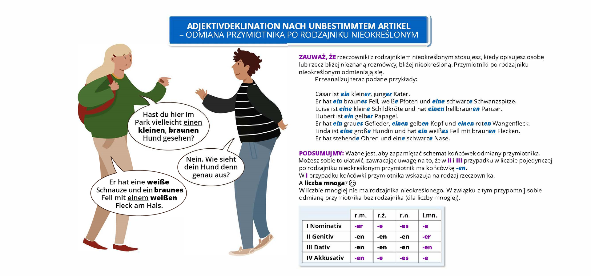 Ilustracja pod tytułem Adjektivdeklination nach unbestimmtem Artikel – odmiana przymiotnika po rodzajniku nieokreślonym. Widoczny jest rysunek przedstawiający rozmawiających mężczyznę i kobietę. Pozostałą część grafiki zajmuje tekst, którego treść znajduje się w transkrypcji, poniżej grafiki.