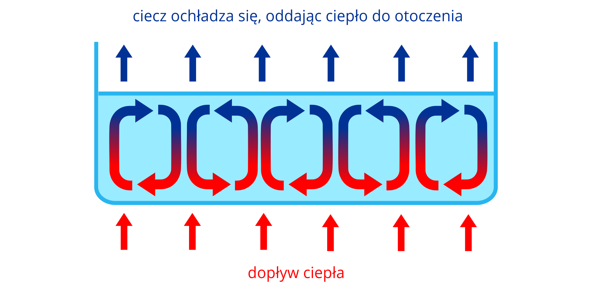 Grafika przedstawia przepływ ciepła w zbiorniku z wodą. Pod zbiornikiem z cieczą czerwony napis dopływ ciepła i strzałki skierowane do góry, na dno zbiornika. W zbiorniku kilka par strzałek, tworzących okręgi; w każdej z tych par jedna strzałka jest skierowana od dna do tafli cieczy, a druga na odwrót. Symbolizuje to przepływ ogrzanej cieczy do góry oraz schłodzonej w dół. Nad taflą cieczy niebieskie strzałki skierowane ku górze i napis ciecz ochładza się, oddając ciepło do otoczenia.