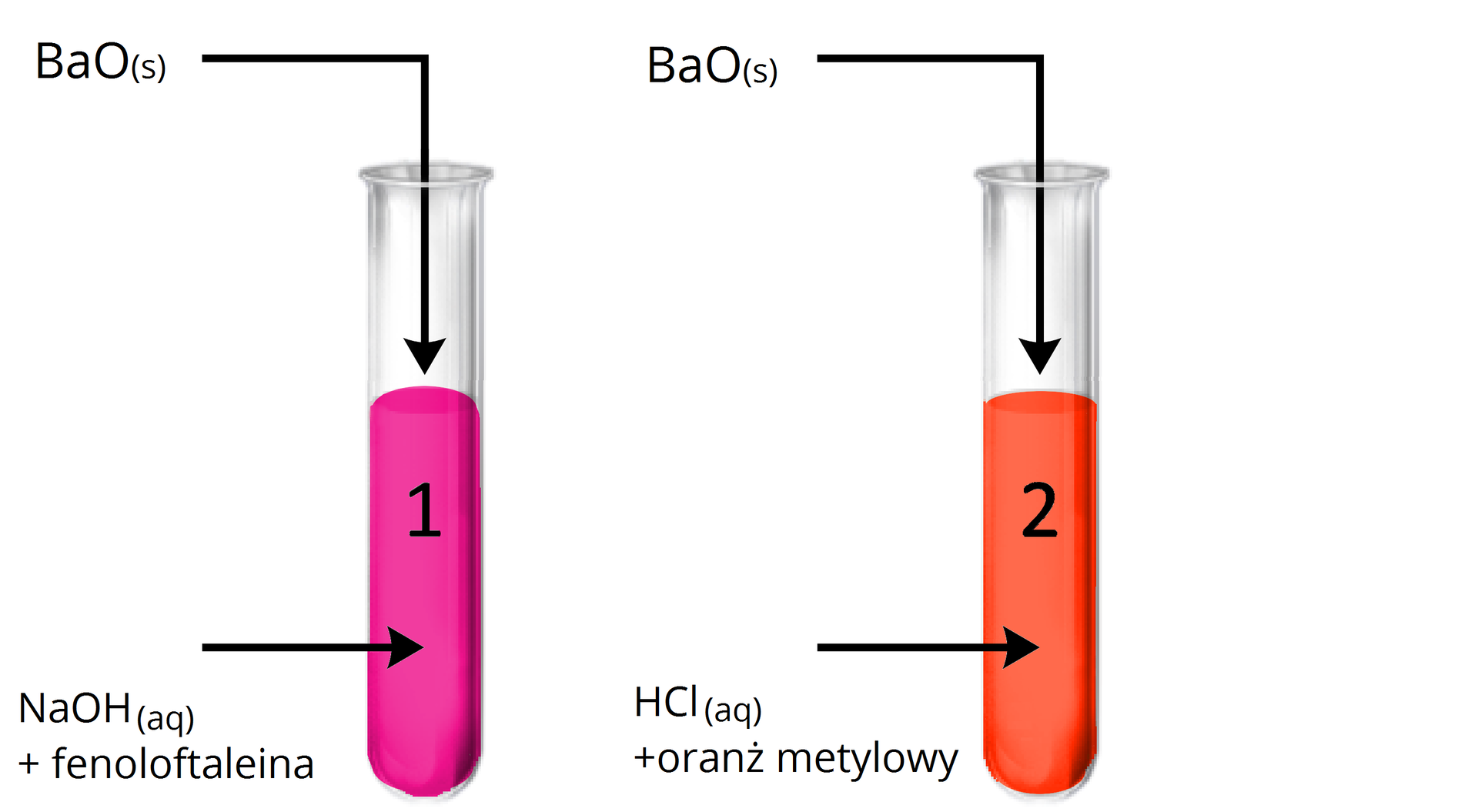Grafika przedstawia dwie probówki z bezbarwną cieczą. Ciecz w pierwszej probówce, oznaczona cyfrą jeden, jest wskazana strzałką z podpisem: NaOHaq plus fenoloftaleina. Druga strzałka wskazuje wlot probówki i wchodzi do jej wnętrza. Nad nią znajduje się podpis BaOs. Ciecz w drugiej probówce, oznaczona cyfrą dwa, jest wskazana strzałką z podpisem: HClaq plus oranż metylowy. Druga strzałka wskazuje wlot probówki i wchodzi do jej wnętrza. Nad nią znajduje się podpis BaOs.