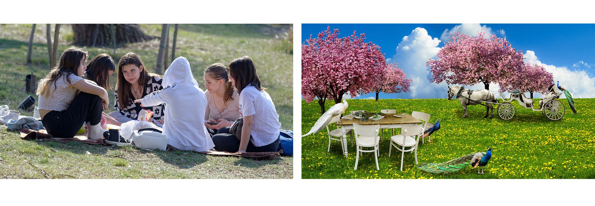 Na pierwszym zdjęciu grupa sześciorga dziewcząt siedzi w kole na kocu na trawie. Na drugim zdjęciu została przedstawiona scena prezentująca nakryty stół stojący na trawie, wśród której kwitną mlecze, jednego pawia na stole, dwa pawie stojące na trawie, karocę zaprzężoną w jednego konia i jednego pawia stojącego z tyłu na karocy. W tle znajdują się kwitnące na różowo drzewa.