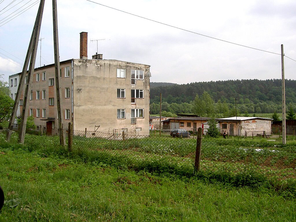 Ilustracja przedstawia zniszczony, obdrapany budynek w województwie podkarpackim. Otoczony jest on siatką, obok znajduje się ogórek z uprawami. W tle las.