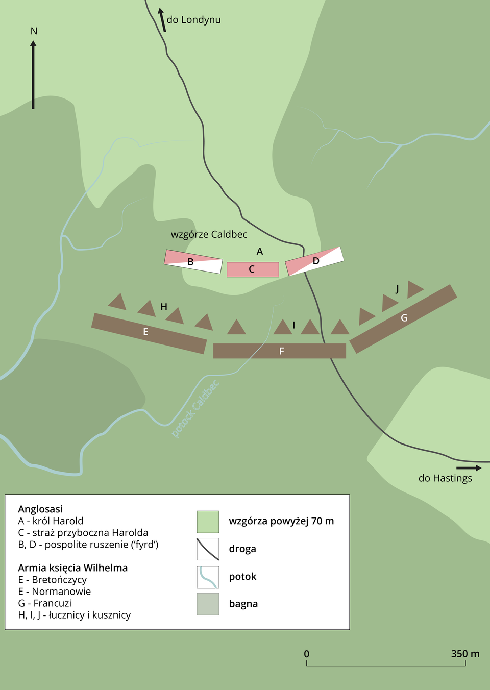Ilustracja przedstawia plan bitwy. Walczą ze sobą Anglosasi i armia księcia Wilhelma. Na północy po stronie Anglosasów są: król Harold, straż przyboczna Harolda oraz pospolite ruszenie. Na południu po stronie księcia Wilhelma są: Bretończycy, Normanowie, Francuzi, łucznicy i kusznicy. Bitwa odbywa się przy drodze, która w kierunku północnym prowadzi do Londynu, a w kierunku wschodnim prowadzi do Hastings. Teren to wzgórza o wysokości powyżej 70 metrów. Obok płynie potok i znajdują się bagna.