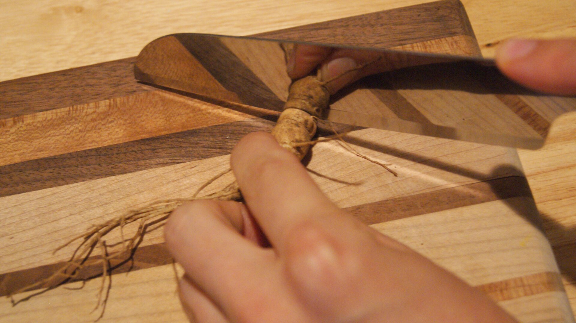 Na zdjęciu widoczna jest sadzonka korzeniowa. Leży ona na drewnianej desce. W najgrubszym miejscu korzenia, zostaje przecięta przez nóż. 