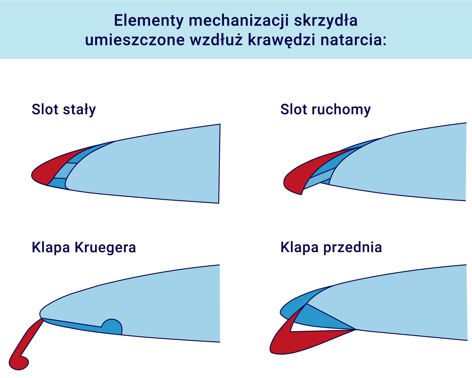 Ilustracja przedstawia elementy mechanizacji skrzydła umieszczone wzdłuż krawędzi natarcia, to jest: slot stały, poruszający się slot ruchomy, klapa Kruegera, klapa przednia. Slot stały przedstawiono jako element o opływowym kształcie, zakończony nasadką, cały element przypomina skrzela. Slot ruchomy posiada z kolei ruchomą nasadkę. Klapa Krugera składa się z elementu o opływowym kształcie, do którego końca przymocowana jest ruchoma nasadka w kształcie małej litery el, która może wykonywać ruch w kierunku spodu opływowego elementu. Klapa przednia zbudowana jest również z elementu o opływowym kształcie, do którego u dołu i w środku końcowej części opływowego elementu zamocowana jest ruchoma nasadka, która może poruszać się ku dołowi i wracać do wyjściowego położenia.