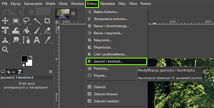 Ilustracja przedstawia okno programu. Z menu wybrano zakładkę: Kolory. Następnie z listy: Jasność i kontrast. W obszarze roboczym jest zdjęcie lasu. 