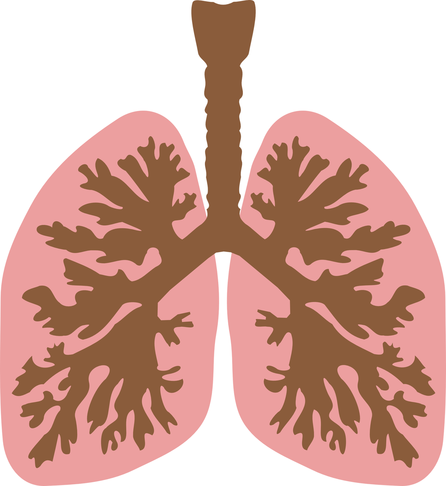 Ilustracja przedstawia dwa płaty płuca. Mają podłużny, owalny kształt. Są wypełnione licznymi rozgałęzieniami - to oskrzela. 