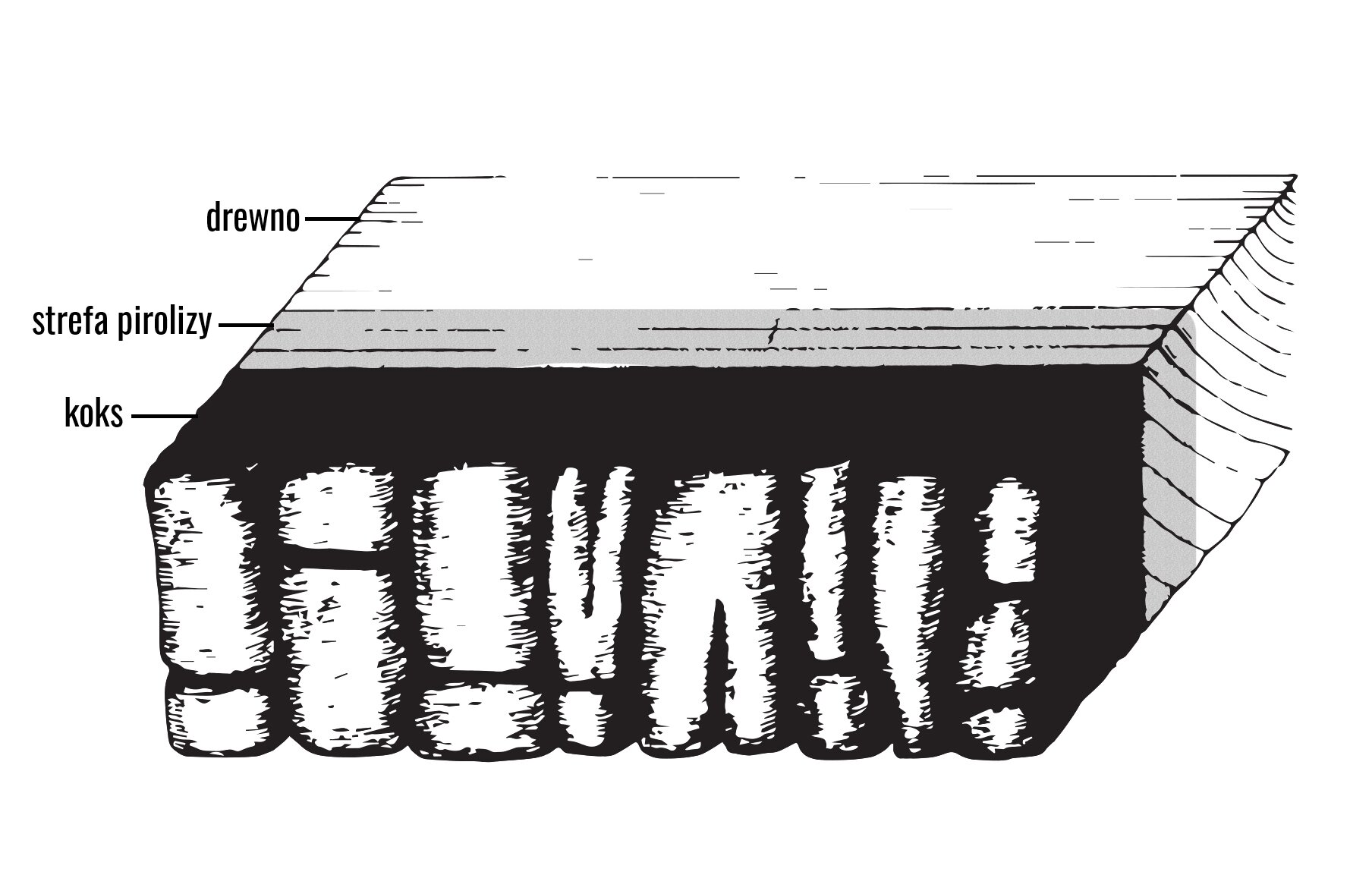 Grafika przedstawia większy kawałek drewna poddany rozkładowi termicznemu. W miejscu poddanym pirolizie drewno zmieniło się w koks, w strefie pirolizy posiada nieco ciemniejszą barwę, zaś w pozostałej części zachowało swój naturalny wygląd i strukturę.
