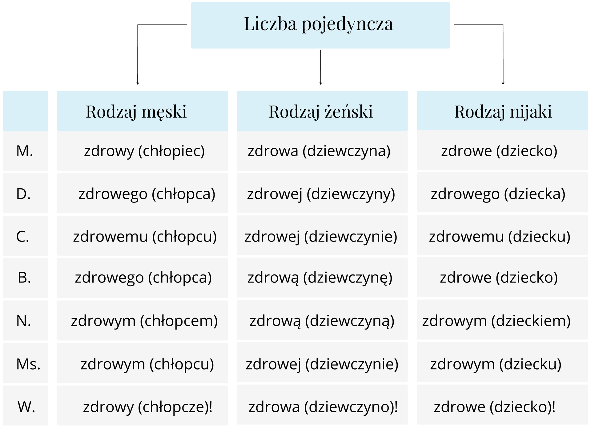 Kliknij, aby powiększyć Schemat obrazujący odmianę przymiotnika i rzeczownika w liczbie pojedynczej. W górnej części schematu występuje napis: „Liczba pojedyncza”. Od niego odchodzą trzy strzałki, pod którymi umieszczone są kolejno napisy: „rodzaj męski”, „rodzaj żeński”, „rodzaj nijaki”. Po lewej stronie umieszczona jest również kolumna ze skrótami określającymi poszczególne przypadki: M., D., C., B., N., Ms., W. Schemat dzieli się na siedem wersów, czyli tyle, ile jest przypadków. Liczba pojedyncza. Rodzaj męski. M. zdrowy (chłopiec) D. zdrowego (chłopca) C. zdrowemu (chłopcu), B. zdrowego (chłopca) N. zdrowym (chłopcu) Ms. zdrowym (chłopcu) W. zdrowy (chłopcze)! Rodzaj żeński. M. zdrowa (dziewczyna) D. zdrowej (dziewczyny) C. zdrowej (dziewczynie), B. zdrową (dziewczynę) N. zdrową (dziewczyną) Ms. zdrowej (dziewczynie) W. zdrowa (dziewczyno)! Rodzaj nijaki M. zdrowe (dziecko) D. zdrowego (dziecka) C. zdrowemu dziecku B. zdrowe (dziecko) zdrowym (dzieckiem) Ms. zdrowym (dziecku) W. zdrowe (dziecko)!