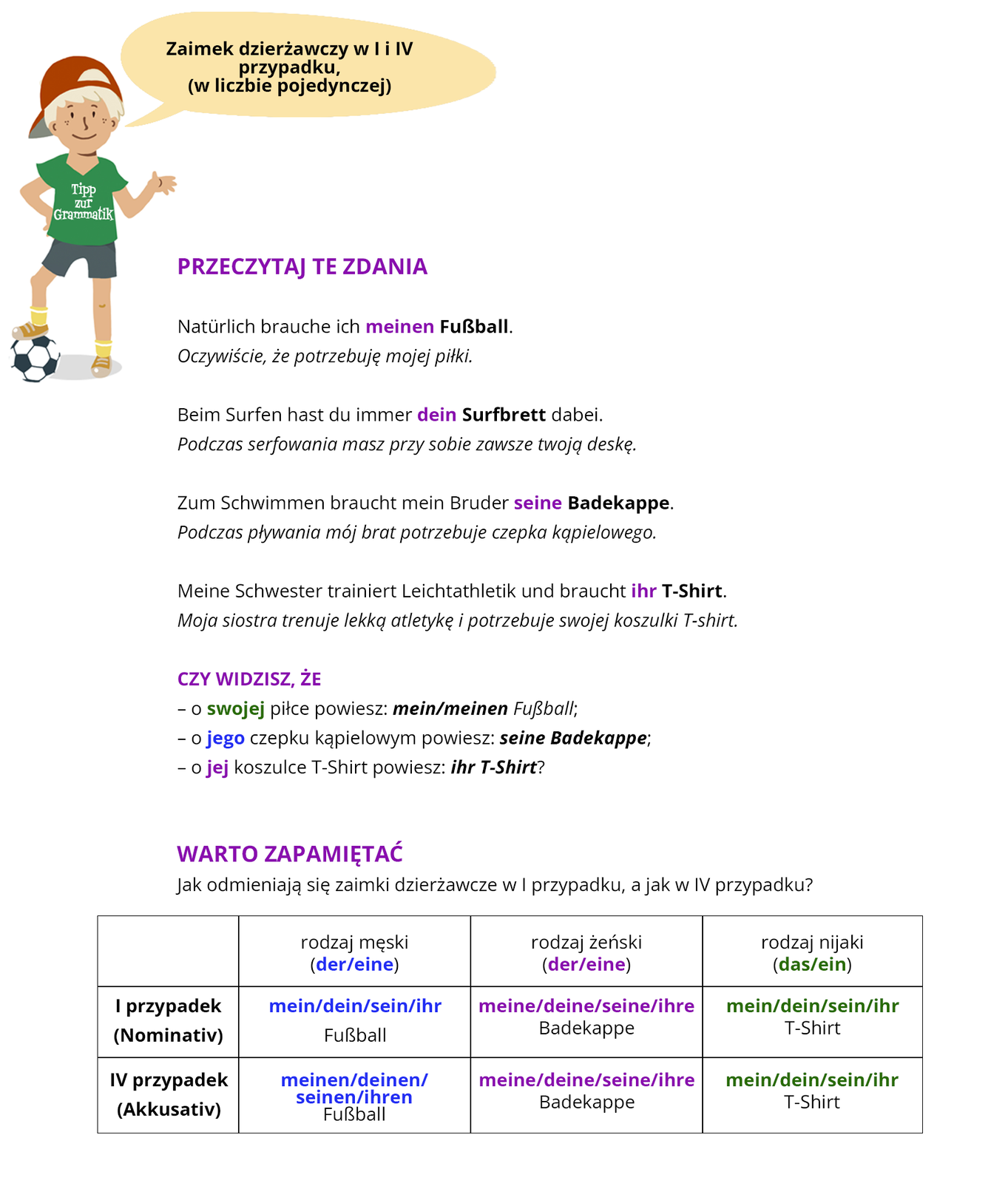 Ilustracja zawiera poradę językową.
Ilustracja przedstawia chłopca ubranego w zieloną bluzkę z napisem Tipp zur Grammatik oraz w szare spodenki.  Obok widoczny jest dymek zawierający napis: Zaimek dzierżawczy w I i IV przypadku (w liczbie pojedynczej).
Pozostałą część grafiki stanowi tekst, którego treść wyświetla się w trybie dostępności. 