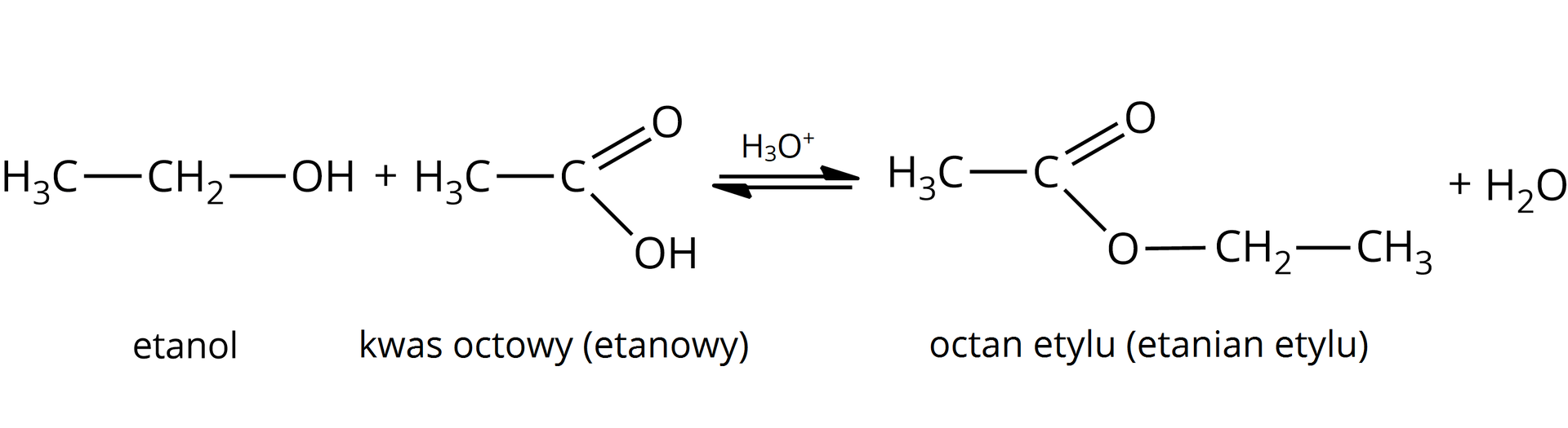 Ilustracja przedstawia reakcję estryfikację etanolu z kwasem octowym (etanowym), produktem jest octan etylu (etanian etylu). Równanie: H3C—CH2—OH+H3C—COOH⇄H3O+ H3C—COO—CH2—CH3+H2O. W grupie COO jeden z atomów tlenu jest połączony z atomem węgla wiązaniem podwójnym, a drugi atom tlenu wiązaniem pojedynczym.